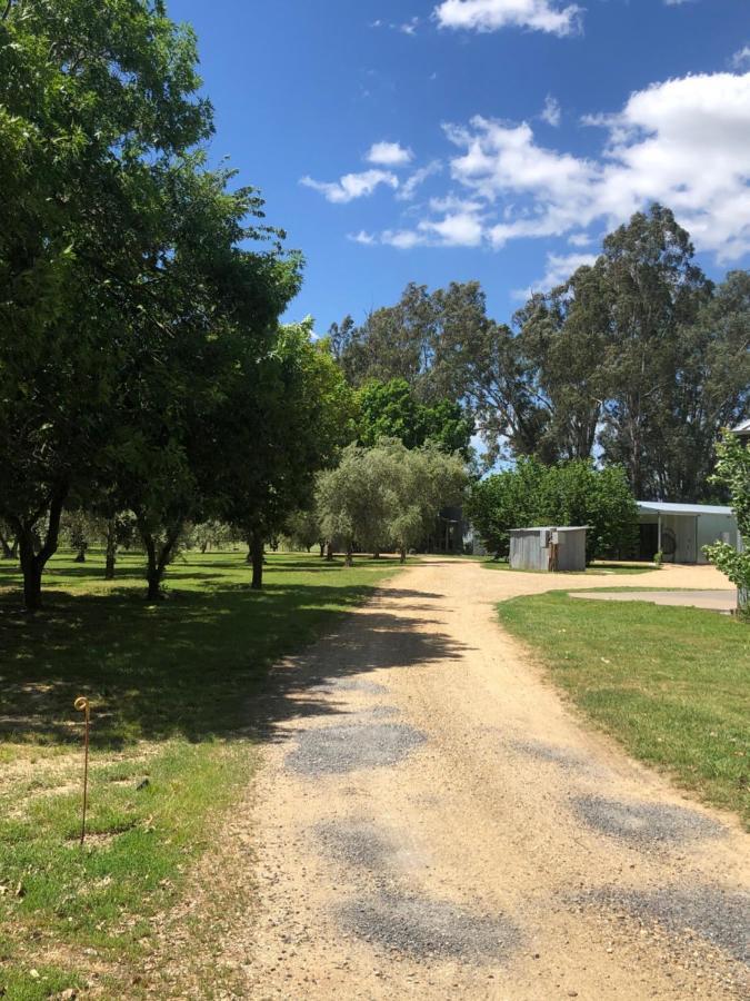 Oak Lane Guest House & Farm Stay Whorouly Eksteriør bilde