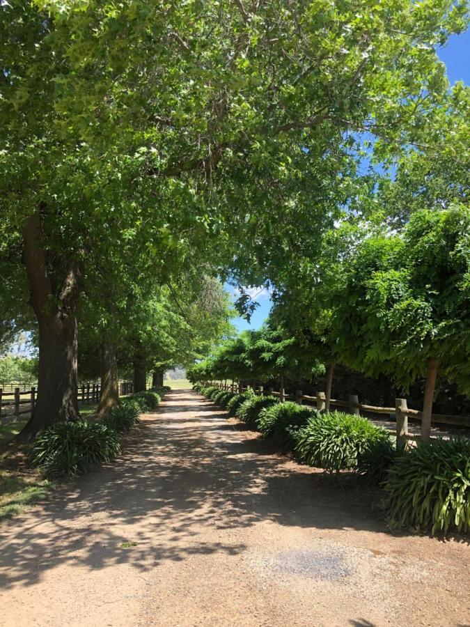 Oak Lane Guest House & Farm Stay Whorouly Eksteriør bilde